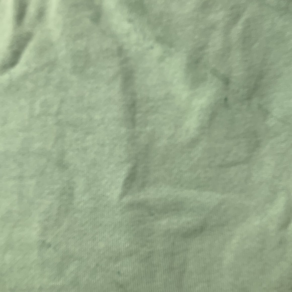 Jungmaven stained glass alpine raglan sweatshirt small clay green/mint - Picture 13 of 15